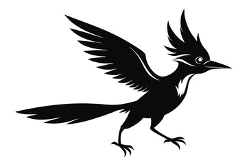 Fototapeta premium Silhouetted black roadrunner bird with wings open isolated on white background vector