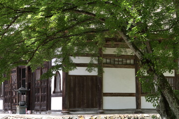 新緑に包まれたお堂