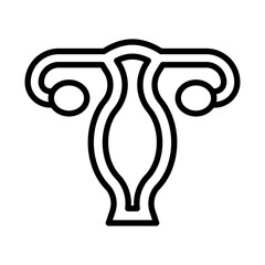 Uterus