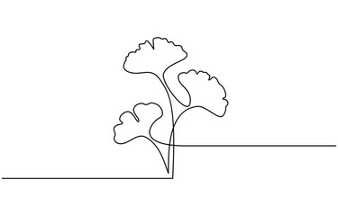 Ginkgo biloba Continuous one line drawing. Abstract botany minimalist poster, Ginkgo flower, Fresh ginkgo biloba green leaf continuous one line drawing, Ginkgo biloba.
