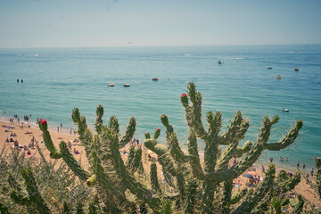 Albufeira, Algarve, Portugal