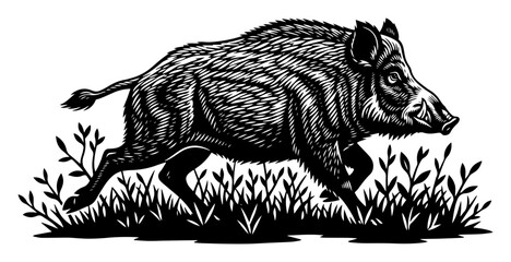engraved black and white vector of a wild boar running through grass, vintage wildlife style