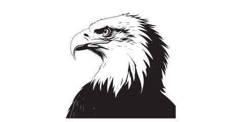 Majestic bald eagle head profile in stark black and white silhouette