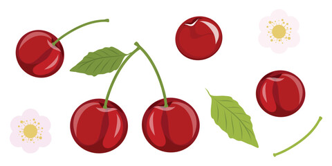 Fresh and sweet cherry berries, leaves and flowers, vector set isolated on a white background. Hand drawn cherry plant set