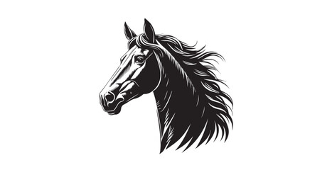 Majestic horse head silhouette with flowing mane on white background silhouette