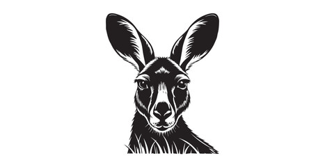 Close up portrait of a kangaroo head with large ears silhouette