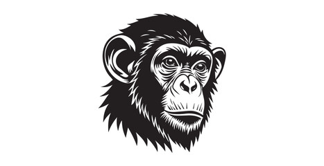 Detailed black and white chimpanzee face graphic illustration silhouette