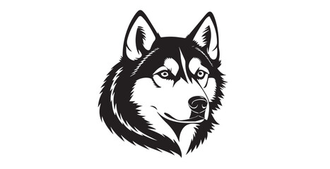 Striking black and white husky dog head silhouette with intense eyes © arif