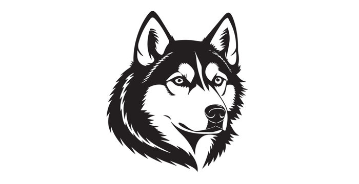 Striking black and white husky dog head silhouette with intense eyes