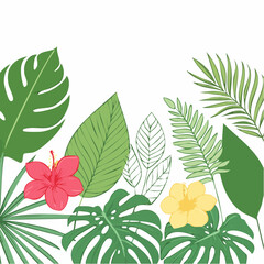 Thin line vector drawings of tropical leaves and flowers on white background