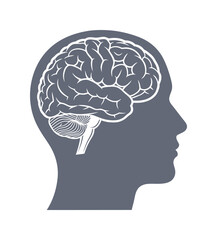 Head with the brain silhouette. Hyman head profile. Vector. EPS 10