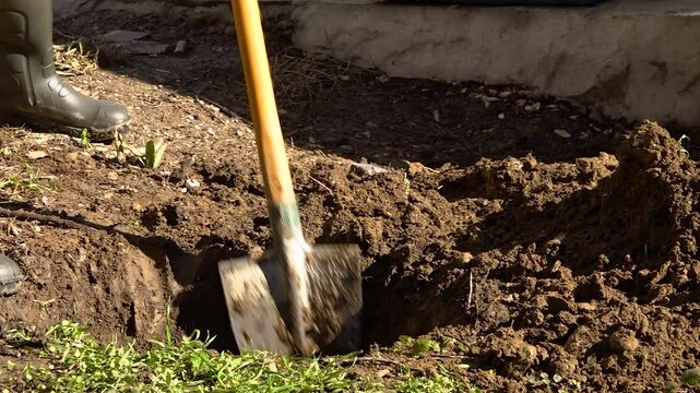 Close up view of a person digging a hole with a shovel in the ground.