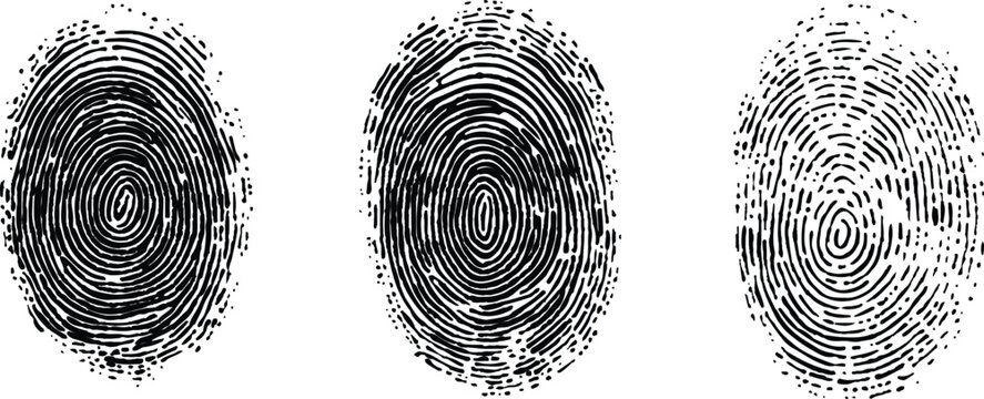 Three fingerprints with unique patterns. isolated transparent background. Set of three black fingerprint scans isolated on transparent background. Digital biometric security and identification concept