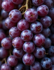 Fototapeta premium Juicy Grapes Close-Up