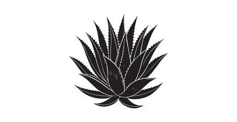 Detailed black and white illustration of an aloe vera plant silhouette