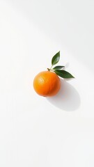 Vivid Orange on a White Background