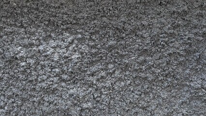 Rough Gray Cement Wall Texture
