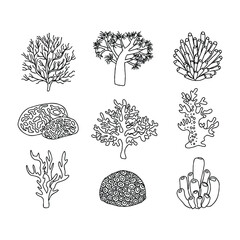 Black and white coral illustrations