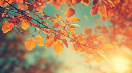 Golden Autumn Leaves glowing in soft Retro Sunlight create a dreamy Surreal scene full of warmth and nostalgia.