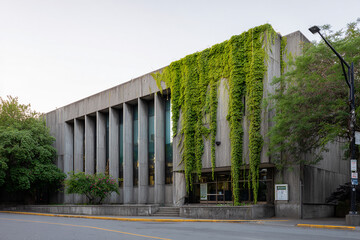 Concrete facade of urban library with large vertical windows and cascading ivy on the right side, viewed from across street