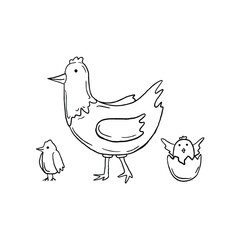 Cute chicken and chick