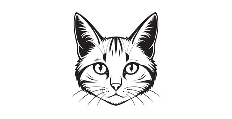 Striking blue and white cat face portrait with detailed whiskers silhouette