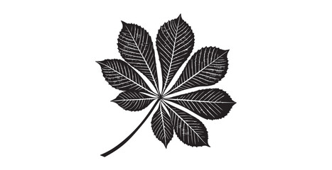 Detailed black and white illustration of a horse chestnut leaf silhouette