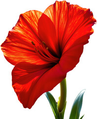 create a full body portrait of a single red amaryllis flower with large, trumpet shaped petals in a futuristic style, use vibrant colors and a vivid gleeful aesthetic