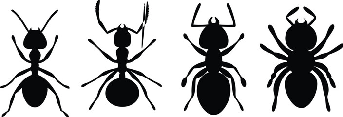 Different Ant Silhouettes &ndash; Vector Insect Shapes and Crawling Bug Icons Collection
