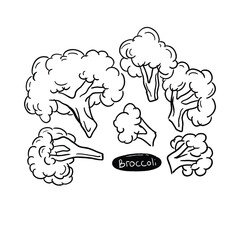 Hand-drawn broccoli illustrations