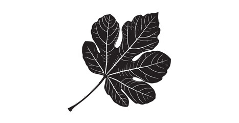 Detailed black fig leaf with intricate white veins in a striking silhouette