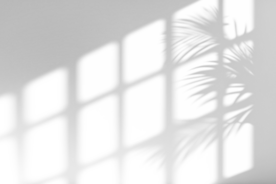 realistic tree branch shadow and leaves shadows isolated on transparent background,mockup of shadow for product presentation, backdrop,Summer sunlight and shadow overlay