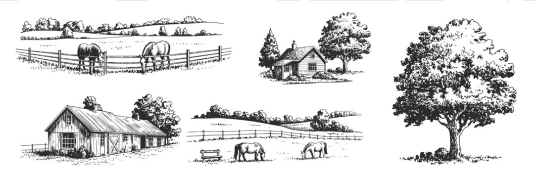 Rural landscape sketch with barn, house, trees, and horses in black and white drawing