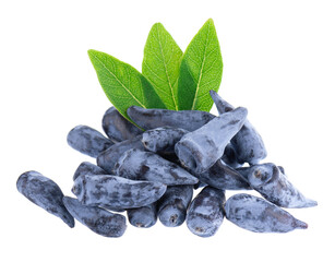 Honeysuckle berry isolated on white background. Fresh honeysuckle blue berry fruits with green...