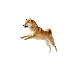 Energetic Shiba Inu dog jumping joyfully, isolated on transparent background—ideal for pet ads, canine portraits, design elements, animal-themed content, and digital creativity.