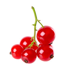 Red currant isolated on white background. Redcurrant or Ribes rubrum ripe berries.