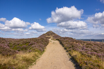 Scenic footpath leading to Win Hill summit on a sunny August day, surrounded by blooming purple...
