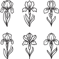 Obraz premium Iris Dutch or Bearded Black Line Editable Icons