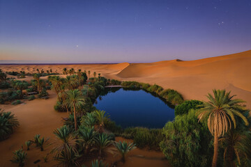 Desert oasis at twilight surrounded by palm trees and sand dunes under a starry sky. Generative AI
