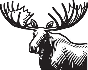 Moose Vector In Black and White