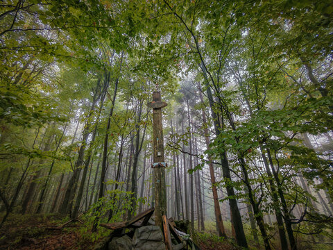The summit signpost of Pipis Hill (933 m) hidden among tall trees on a foggy day in the B&uuml;kk Mountains.