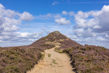 Golden footpath cutting through lush heather-covered hills, climbing toward Win Hill under dynamic...