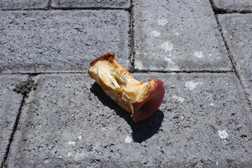 Rotten apple on the paving block, trash 