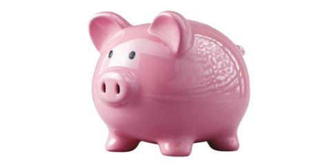 Pink piggy bank looks happy to save money