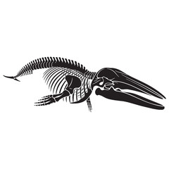 From deep seas to design – Blue whale skeleton silhouette visualized with clean Blue whale skeleton vector – Blue whale skeleton illustration

