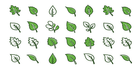 vector set of green leaves