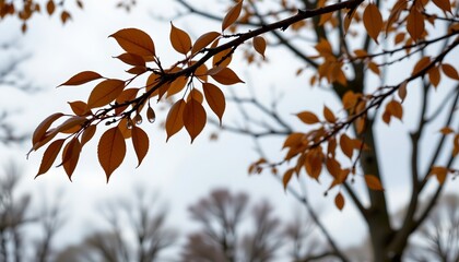 the image captures a serene autumn scene, dominating the foreground is a tree branch, adorned with delicate fall leaves, which are scattered throughout the image, the leaves