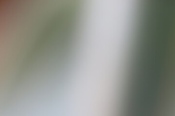Abstract blurred background with green and gray tones