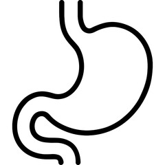 Human stomach outline icon vector
