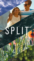 Multi Split Media Transition Vertical